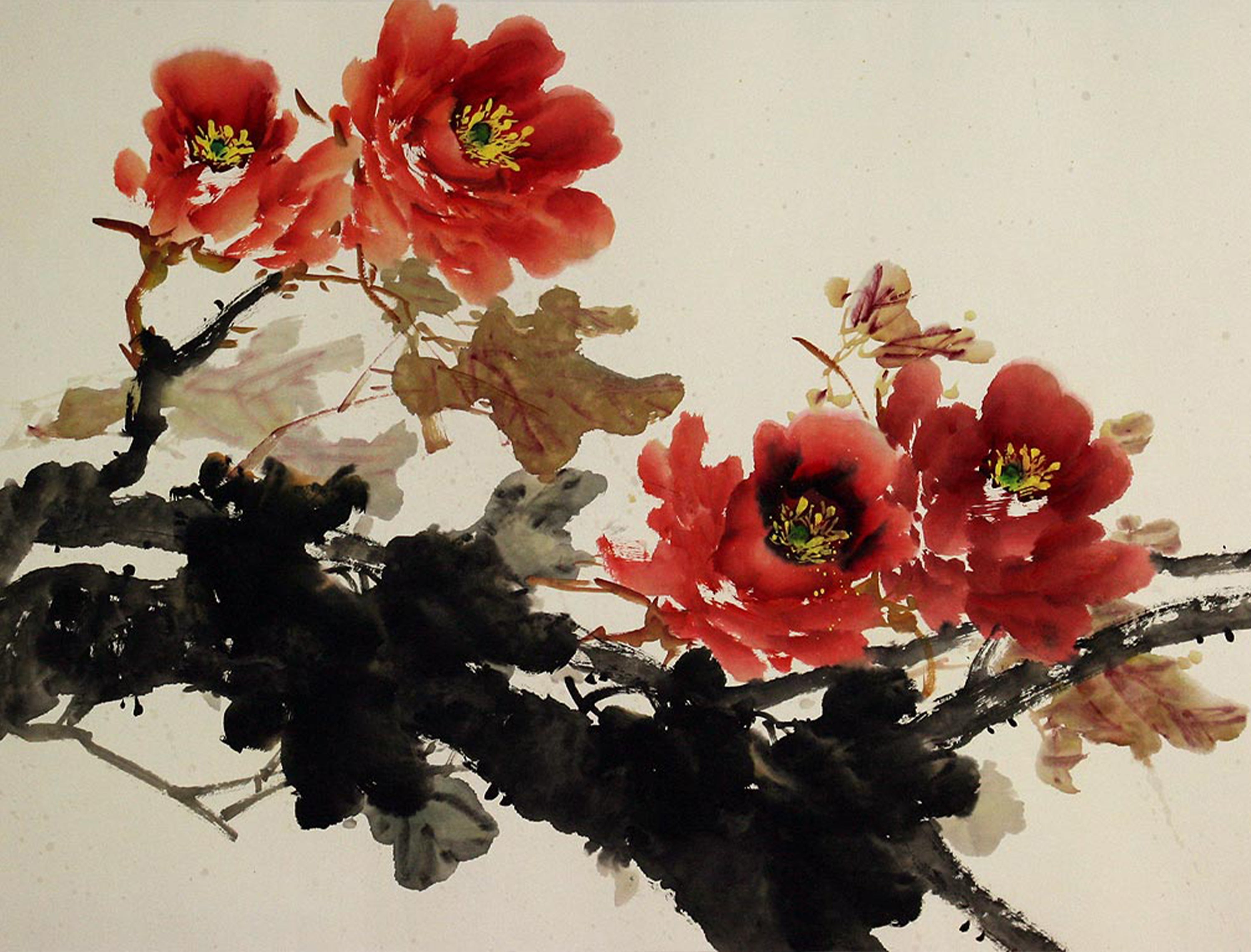 The History Of The Korean Peony