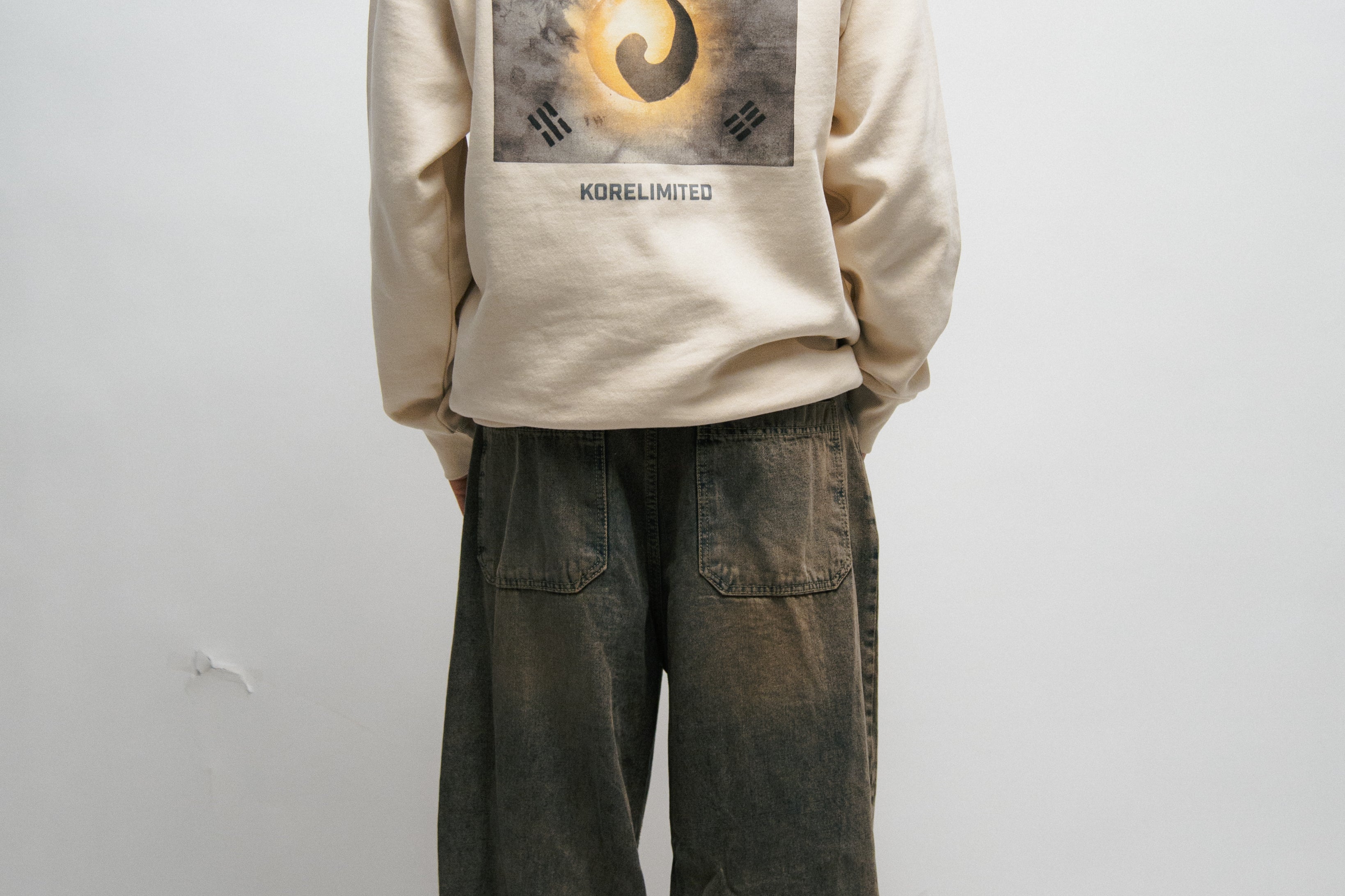 Person wearing a beige hoodie with a Korean Flag graphic design on the back against a white background